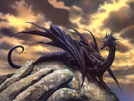 dragon NOIR
